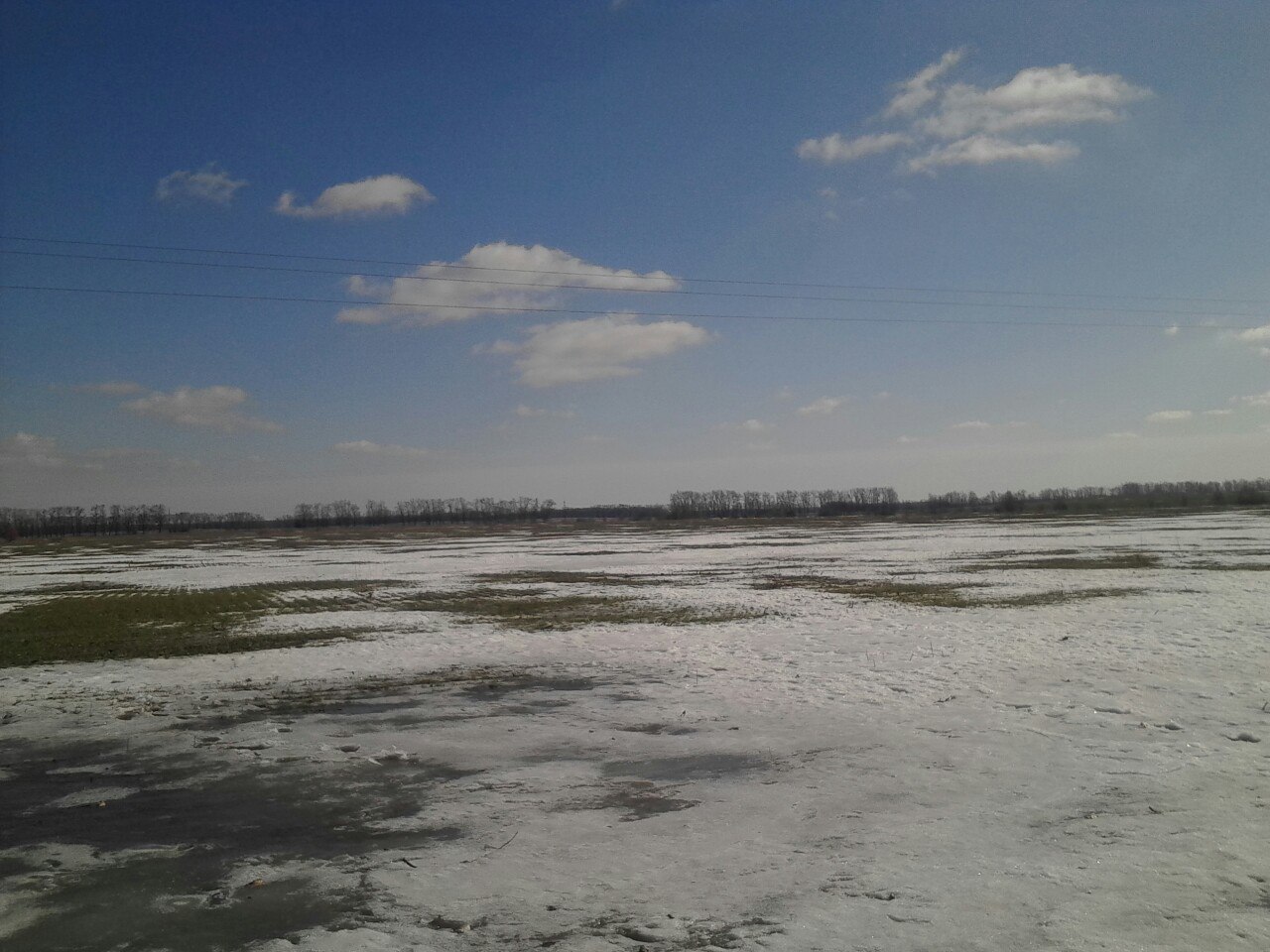 Поле