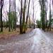 Park im. Tadeusza Rejtana in Łódź city