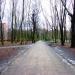 Park im. Tadeusza Rejtana in Łódź city