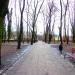Park im. Tadeusza Rejtana in Łódź city