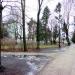 Park przy ul. Skrzywana in Łódź city