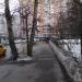 Остановка общественного транспорта «Центральный парк» в городе Москва