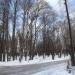 Городской сад в городе Ржев