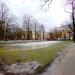 Staw in Łódź city