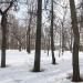 Городской сад в городе Ржев