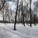 Городской сад в городе Ржев