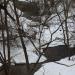 Пешеходный мост через реку Холынка в городе Ржев