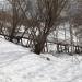 Лестница в городе Ржев