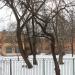 Школа № 13 в городе Ржев