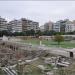 Roman Forum/Ancient Greek Agora