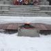 Вечный огонь в городе Ржев