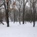Парк им. В. В. Грацинского в городе Ржев