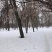 Парк им. В. В. Грацинского в городе Ржев