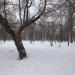 Парк им. В. В. Грацинского в городе Ржев