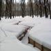 Остатки окопов в городе Тула