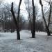 Сквер Клары Цеткин в городе Москва