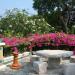 Asia Pattaya 4 * в городе Паттайя