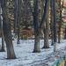Памятник «Защитникам Москвы» в городе Москва