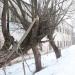 Заброшенное здание завода (ул. Косарова, 33/39) в городе Ржев