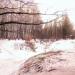 Берёзовая роща в городе Москва