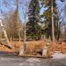 Пристань в городе Гатчина