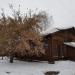 Снесённый жилой дом (ул. Владимировский спуск, 10) в городе Новосибирск