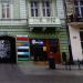 Chameleon in Łódź city