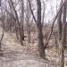 Древние валы в городе Киев