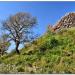 Nuraghe Ferralzos