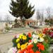 graveyard in Inowrocław city