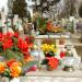 graveyard in Inowrocław city