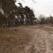 Футбольная площадка в городе Белгород