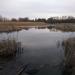 Технологическое озеро ЛОС в городе Воронеж