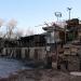 Голубятня в городе Воронеж