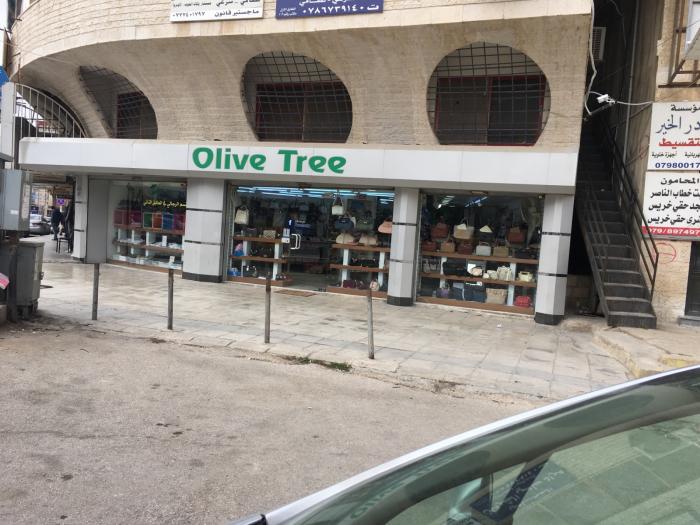 olive tree shoes and bags