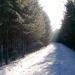 Старая железнодорожная насыпь в городе Екатеринбург