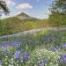 Roseberry Topping