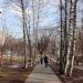 Аллея памяти в городе Красногорск