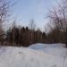 Роща в городе Череповец