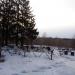 Городское кладбище № 3 в городе Череповец