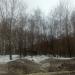 Небольшая роща в городе Череповец