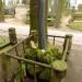 Anymous grave in Warsaw city