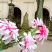 The grave of Roman Kiniorski in Warsaw city