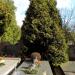 The tomb of Jonasz Kofta in Warsaw city