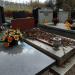 The grave of Teodor Parnicki in Warsaw city