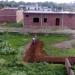 GOLDEN VALLEY in Greater Noida city