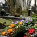 The grave of Czerwiński family in Warsaw city