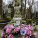 The grave of Aleksander Kopczewski in Warsaw city