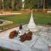 Don Chedi Monument: Suphanburi in Pattaya City city