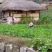 Yangdong Folk Village